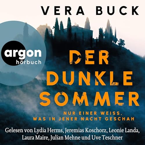 Der dunkle Sommer