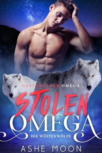 Stolen Omega - Die Wüstenwölfe: MM Mpreg Shifter Gay Romance Deutsch