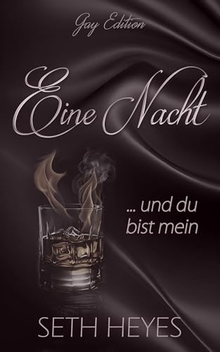 Eine Nacht ... und du bist mein (Gay Edition 1)