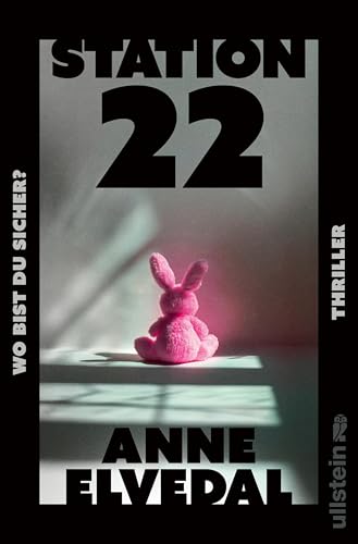 Station 22. Wo bist du sicher?: Thriller | Ein nordischer Thriller, eisiger als ein Wintermorgen in Oslo