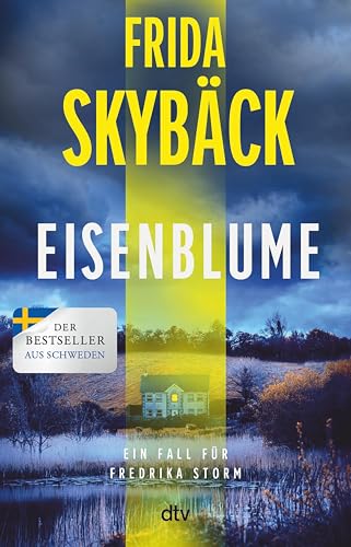 Eisenblume: Ein Fall für Fredrika Storm | Schwedenkrimi um eine verlassene Psychiatrie