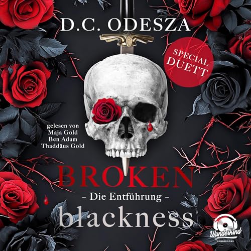Die Entführung: Broken Blackness, Band 1