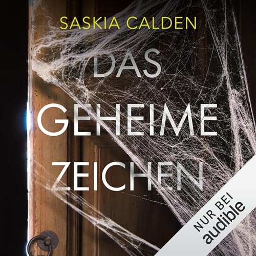 Das geheime Zeichen: Ein Evelyn-Holm-Thriller, Band 3