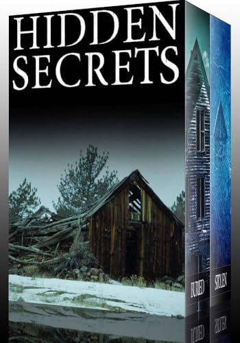 Hidden Secrets: Ein fesselndes Kleinstadtkrimi über eine Entführung