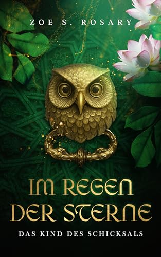 Im Regen der Sterne: Das Kind des Schicksals (Erdentraum 1)