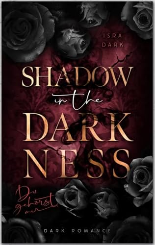 Shadow in the Darkness: Du gehörst mir (Darkness Reihe 2)