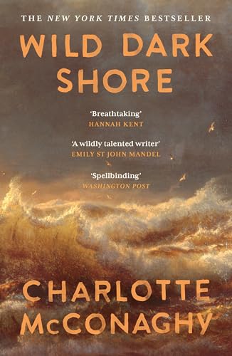 Wild Dark Shore