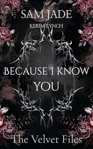 Because I know you: The Velvet Files - (Dark) Romantic Suspense (deutsch) | Thrill meets Spice (spicy Romance) (The Brief 1)