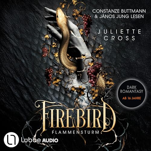 Firebird: Flammensturm, Teil 1