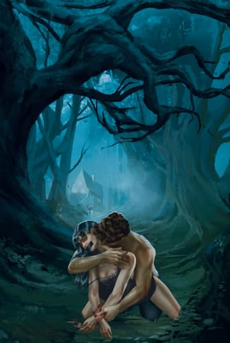 Devil's Night (The Shadows of Darkness Universe, Band 3)