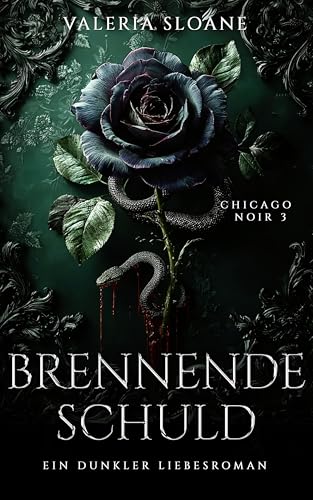 Brennende Schuld: Enemies to Lovers Moralisch zwielichtiger-CEO Dunkler Liebesroman (Chicago Noir 3)