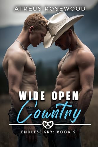 Wide Open Country: An MM Enemies to Lovers Cowboy Prison BDSM Romance
