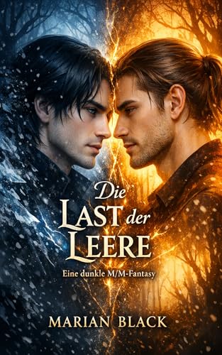 Die Last der Leere: Eine dunkle M/M-Fantasy