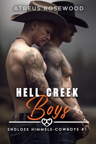 Hell Creek Boys (Deutsche Version): Eine MM-Feinde-zu-Liebende-Cowboy-Stiefbruder-Romanze (Endlose Himmels-Cowboys 1)
