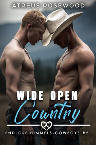 Wide Open Country (Deutsche Version): Eine MM Feinde-zu-Liebende Cowboy Gefängnis BDSM Romanze (Endlose Himmels-Cowboys, Band 2)