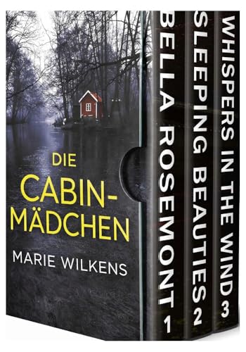 Die Cabin-Mädchen: Ein fesselnder Kleinstadtkrimi über eine Entführung