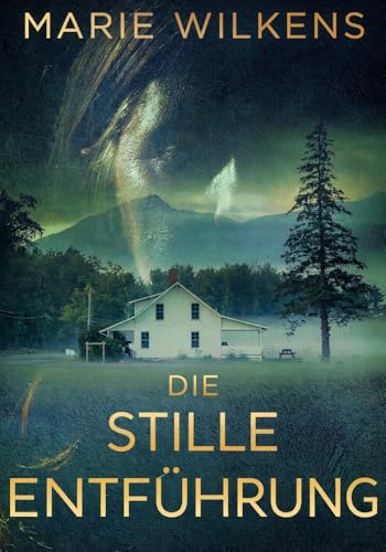 Die stille Entführung: Ein fesselnder Kleinstadtkrimi über eine Entführung