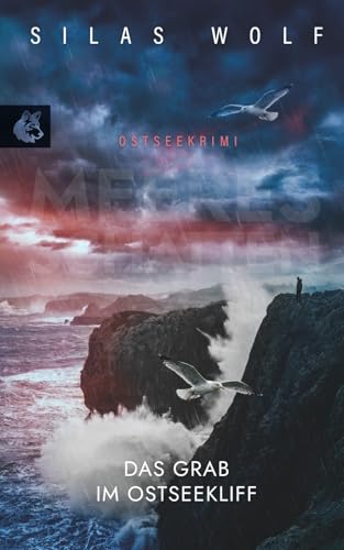 Meeresschatten - Das Grab im Ostseekliff: Küstenkrimi - Ostseekrimi (Sönke Petersen ermittelt, Band 5)
