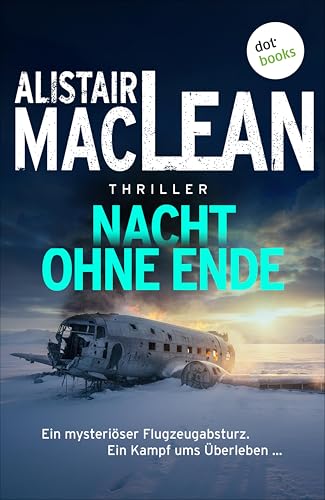 Nacht ohne Ende: Thriller | Ein mysteriöser Flugzeugabsturz. Ein Kampf ums Überleben …