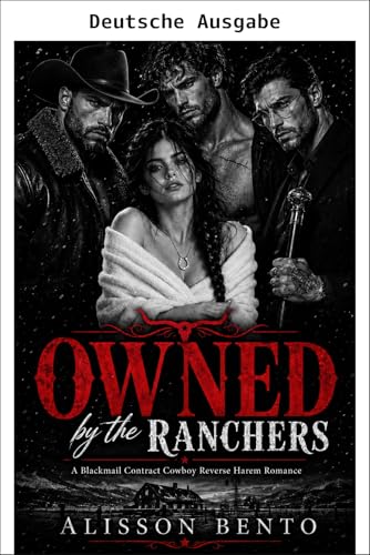 Im Besitz der Rancher (Wildherz-Grenzland)